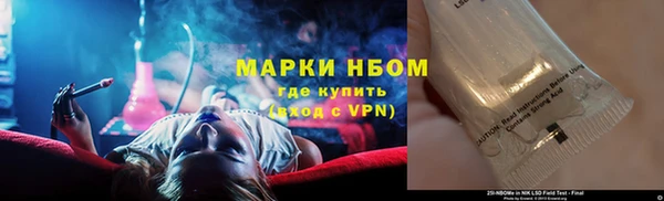 гидра Абаза