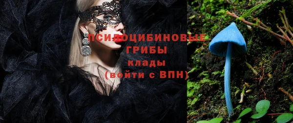 эйфоретик Новокубанск