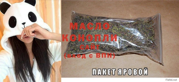 гидра Абаза