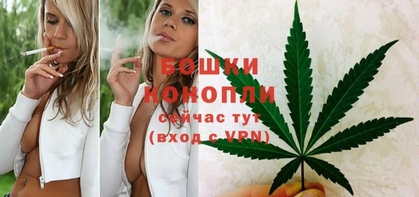 mix Новодвинск