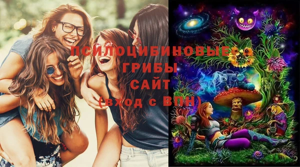 эйфоретик Новокубанск
