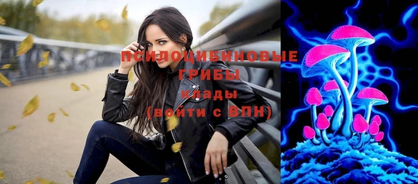 эйфоретик Новокубанск