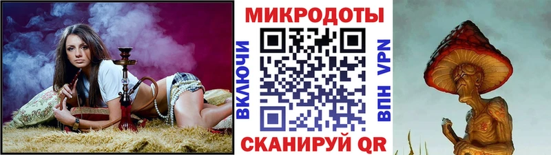 закладка  Липецк  Псилоцибиновые грибы Psilocybine cubensis 